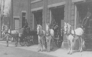3horses.jpg