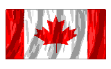 flagaftl3.gif