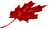 leaf2.jpg